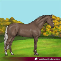 Horse Color:Silver Black 
