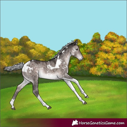 Horse Color:Platinum White Spotted Silver Brown Dun Tobiano Rabicano Brindle 