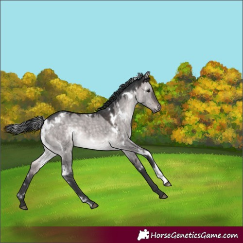 Horse Color:Platinum White Spotted Brown Dun 