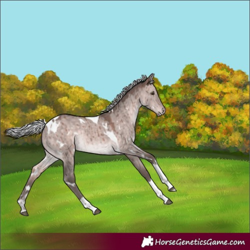 Horse Color:Platinum White Spotted Silver Bay Dun Tobiano Rabicano Brindle 