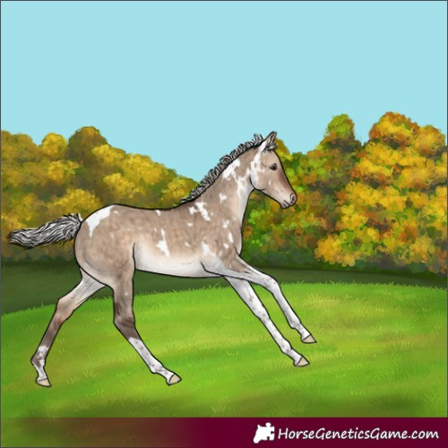 Horse Color:White Spotted Silver Brown Dun Tobiano Rabicano Brindle 
