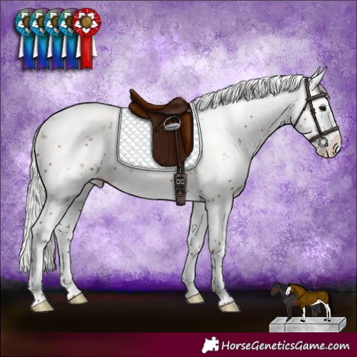 Horse Color:Silver Brown Sabino Splash 