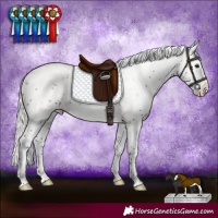 Horse Color:Silver Brown Sabino Splash 