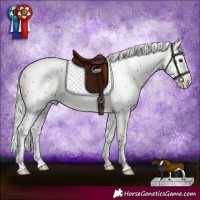Horse Color:Silver Brown Sabino Splash