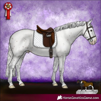 Horse Color:Silver Brown Sabino Splash
