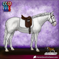 Horse Color:Silver Brown Sabino Splash
