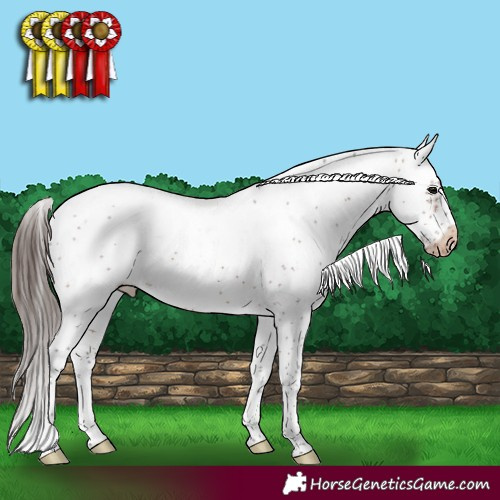 Horse Color:Bay Sabino Frame Appaloosa 