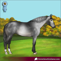 Horse Color:Gray Smoky Black Rabicano 
