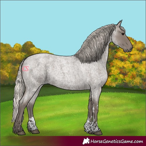 Horse Color:Silver Blue Roan Sabino 