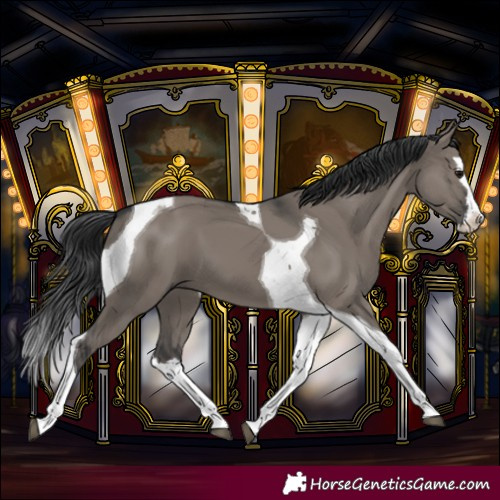 Horse Color:Grullo Splash Tobiano
