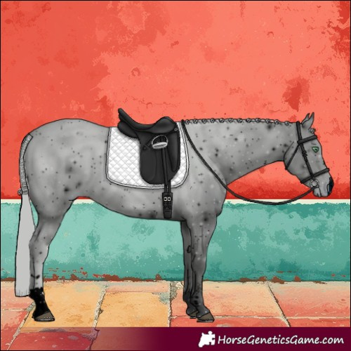 Horse Color:ERROR: UNKNOWN ANOMALY