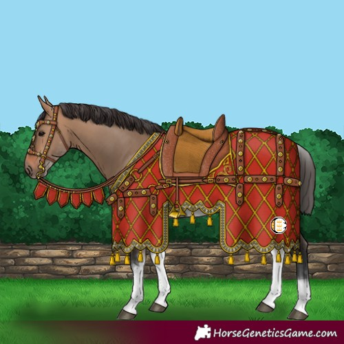 Horse Color:White Spotted Bay Dun Rabicano