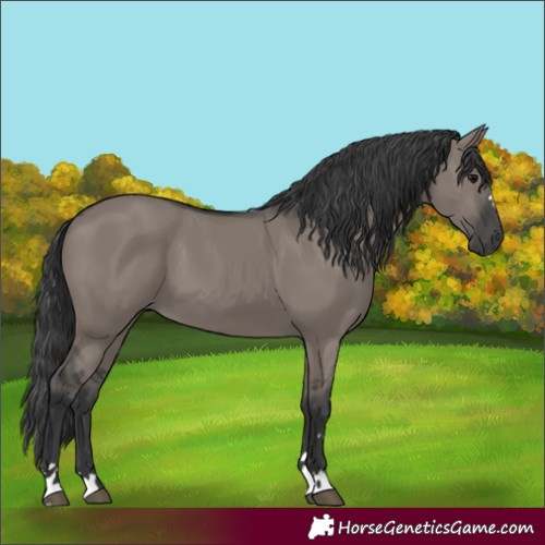 Horse Color:Unknown 