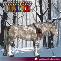 Horse Color:White Spotted Grullo Rabicano and White Spotted Silver Smoky Grullo Rabicano