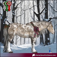 Horse Color:White Spotted Grullo Rabicano and White Spotted Silver Smoky Grullo Rabicano