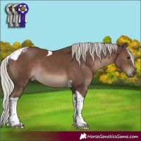 Horse Color:Silver Black Tobiano