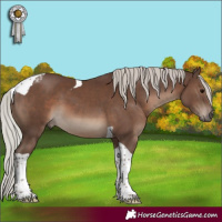 Horse Color:Silver Black Tobiano 