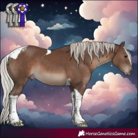 Horse Color:Silver Black Tobiano 