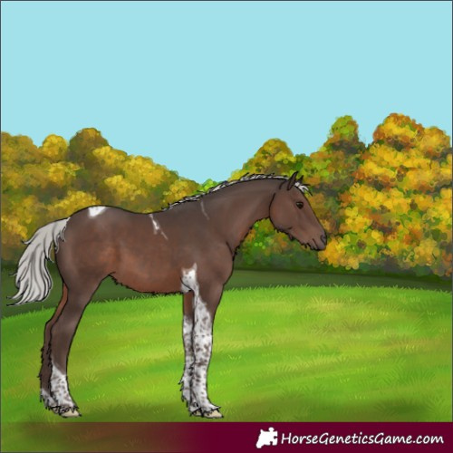 Horse Color:Silver Black Mushroom Tobiano 