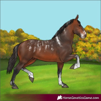 Horse Color:Powder White Bay 