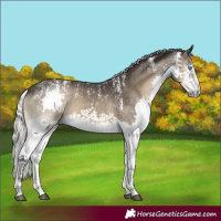 Horse Color:Powder White Silver Smoky Blue Onyx Splash 