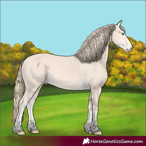 Horse Color:Perlino 