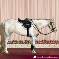 Horse Color:Buckskin Pearl Tobiano Rabicano 