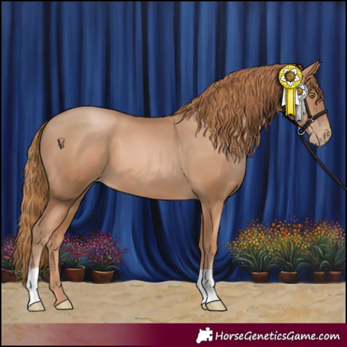 Horse Color:Chestnut Pearl 