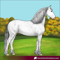 Horse Color:Brown Sabino 