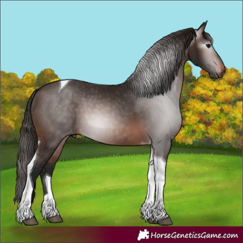 Horse Color:Gray Bay Tobiano Appaloosa Rabicano 