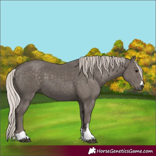 Horse Color:Silver Black 