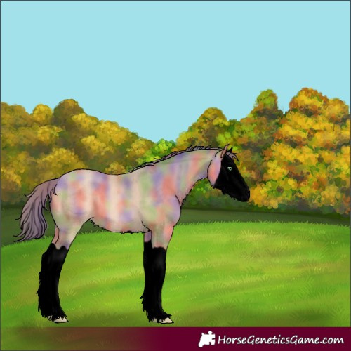 Horse Color:Void Nacre Amber Champagne Merle Splash 