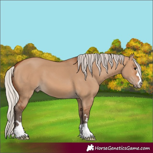 Horse Color:Silver Bay Dun 