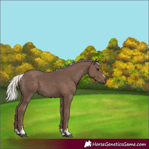 Horse Color:Silver Black 