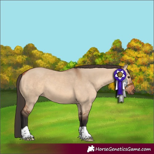 Horse Color:Bay Dun