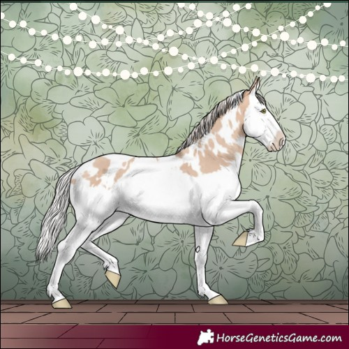 Horse Color:White Spotted Silver Sable Champagne Dun Splash Rabicano 
