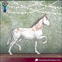 Horse Color:White Spotted Silver Sable Champagne Dun Splash Rabicano