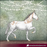 Horse Color:White Spotted Silver Sable Champagne Dun Splash Rabicano