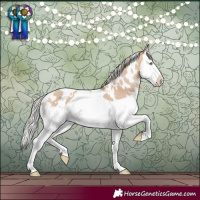 Horse Color:White Spotted Silver Sable Champagne Dun Splash Rabicano 