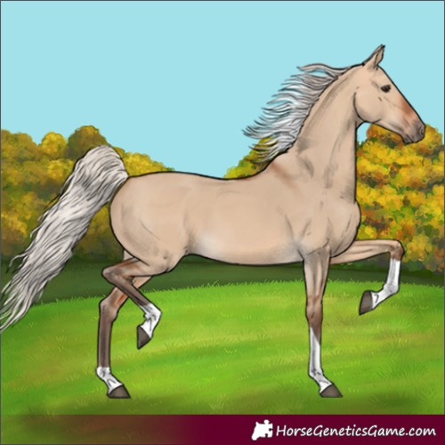 Horse Color:Silver Bay Dun Tobiano 