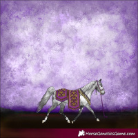 Horse Color:Gray White Spotted Black Blanket 