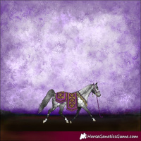 Horse Color:Gray White Spotted Black Appaloosa
