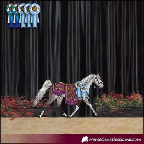 Horse Color:Gray Silver Brown Tobiano Rabicano