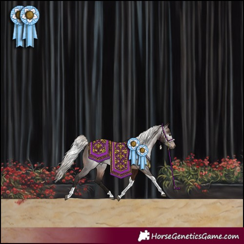 Horse Color:Gray Silver Brown Tobiano Rabicano