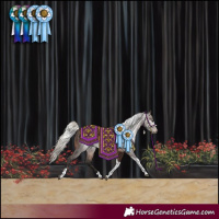 Horse Color:Gray Silver Brown Tobiano Rabicano
