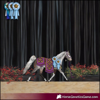 Horse Color:Gray Silver Brown Tobiano Rabicano 