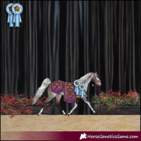Horse Color:Gray Silver Brown Tobiano Rabicano 