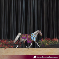 Horse Color:Gray Silver Brown Tobiano Rabicano 