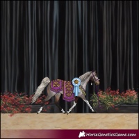 Horse Color:Gray Silver Brown Tobiano Rabicano 
