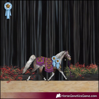 Horse Color:Gray Silver Brown Tobiano Rabicano 